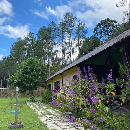Sitio Cachoeirinha - Araguaia マレシャウ・フロリアノ エクステリア 写真
